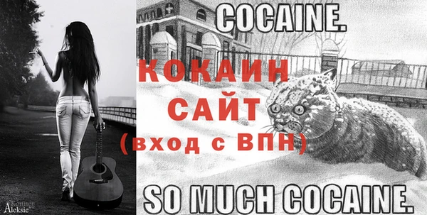 крисы Абаза