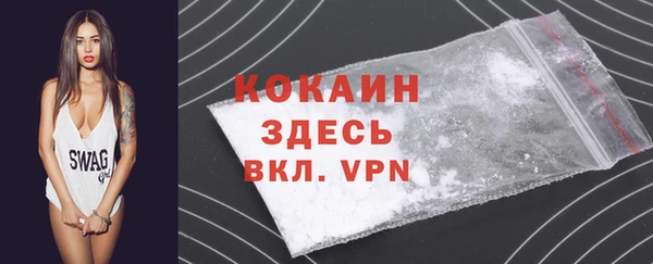 крисы Абаза