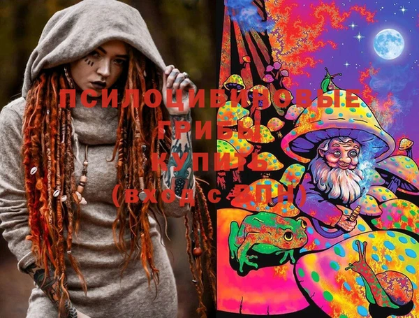стафф Алексин