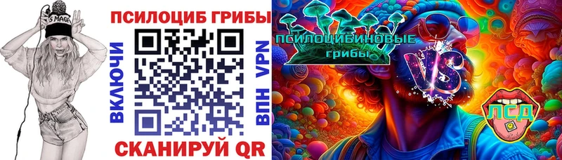omg сайт  Туапсе  Псилоцибиновые грибы Psilocybine cubensis  где купить  
