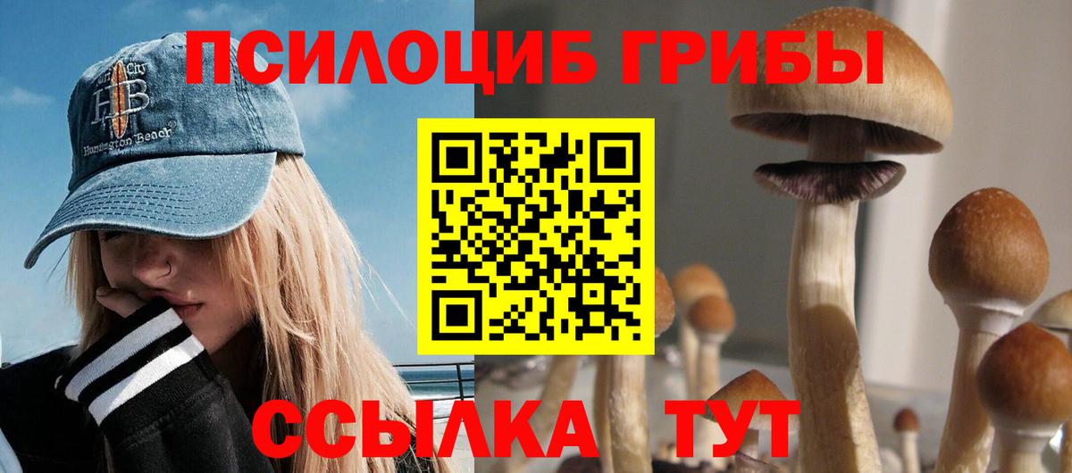 Псилоцибиновые грибы ЛСД Туапсе